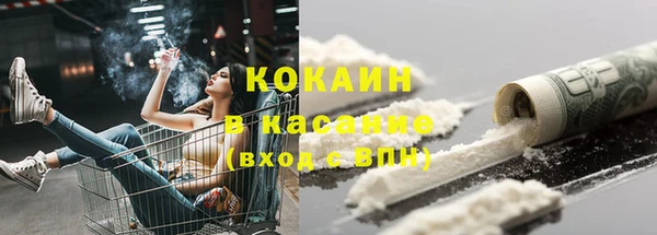 гидра Богородицк