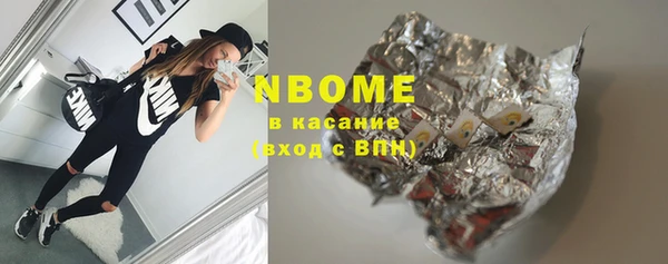 гидра Богородицк