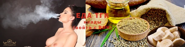 гидра Богородицк