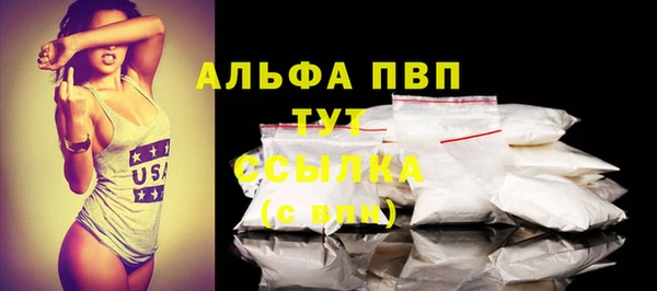 гидра Богородицк