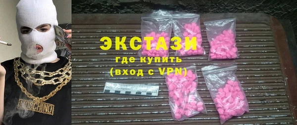 гидра Богородицк