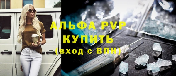гидра Богородицк