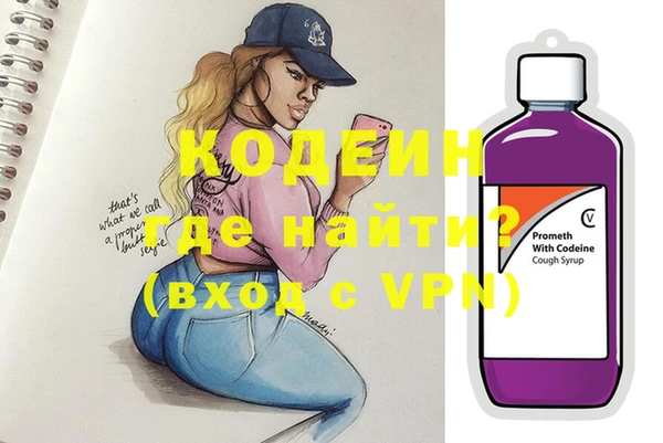 гидра Богородицк