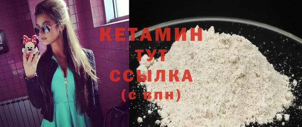 гидра Богородицк
