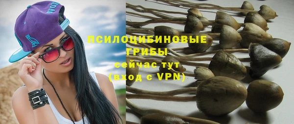 гидра Богородицк